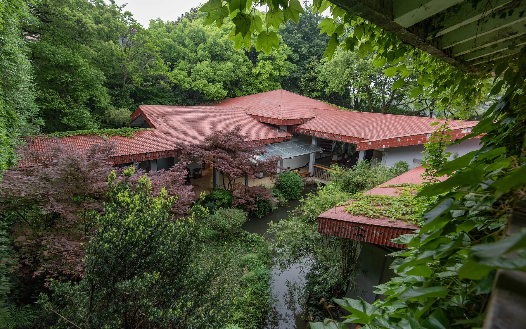 The red-roofed Shuangfeng campus of the China National Tea Museum surrounded by dense green gardens in Hangzhou.