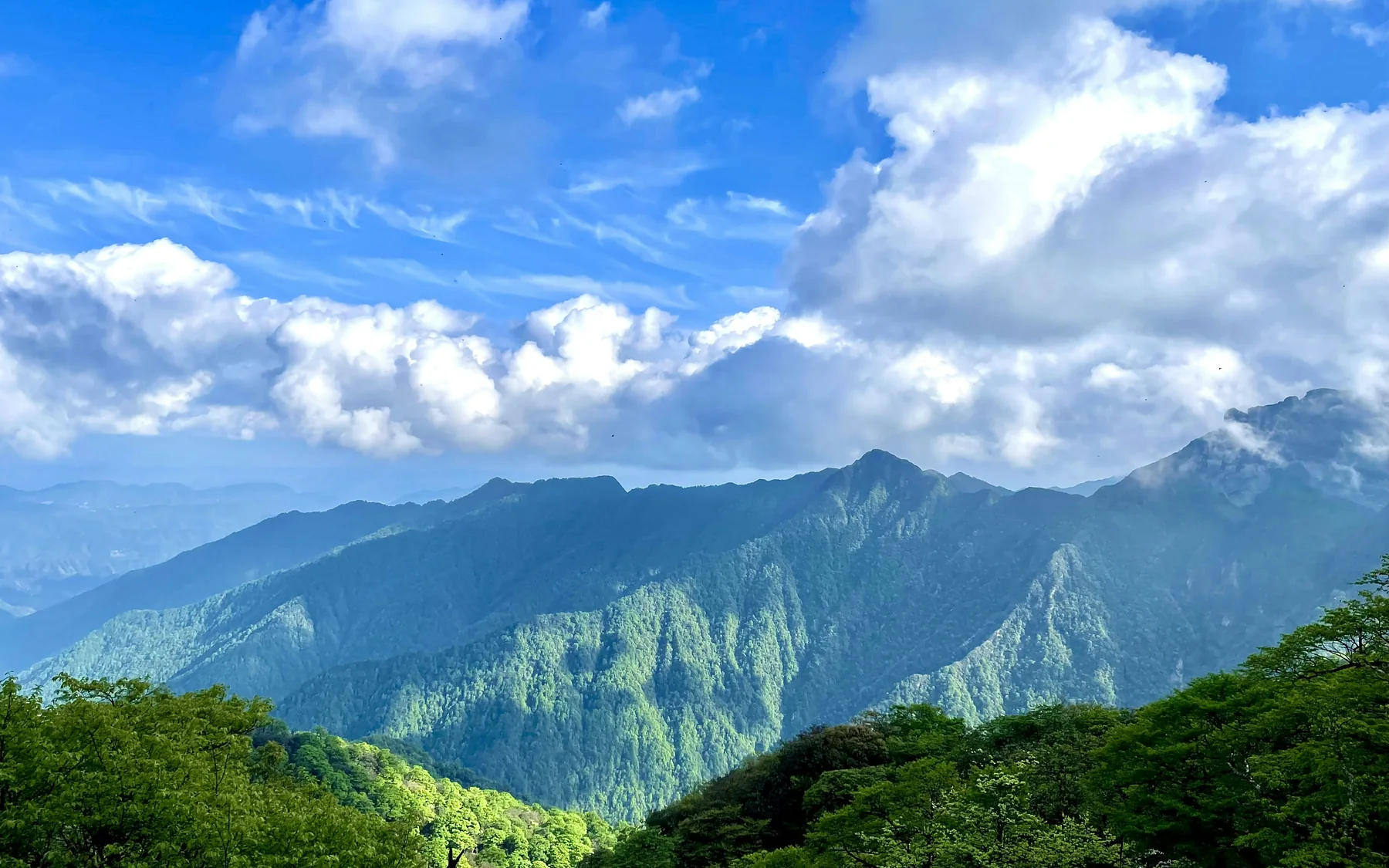 Sunlit forested ridges of Fanjingshan beneath towering white clouds and a deep blue sky.