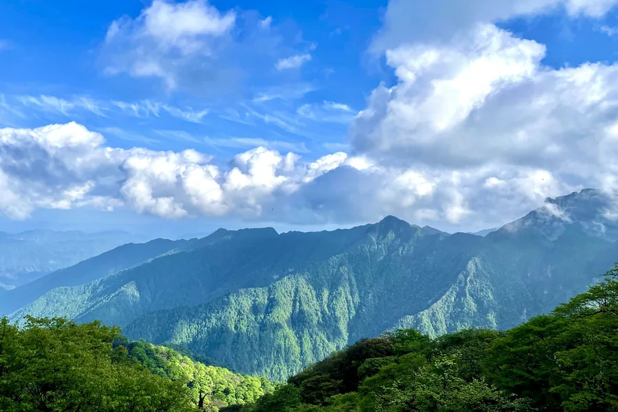 Sunlit forested ridges of Fanjingshan beneath towering white clouds and a deep blue sky.