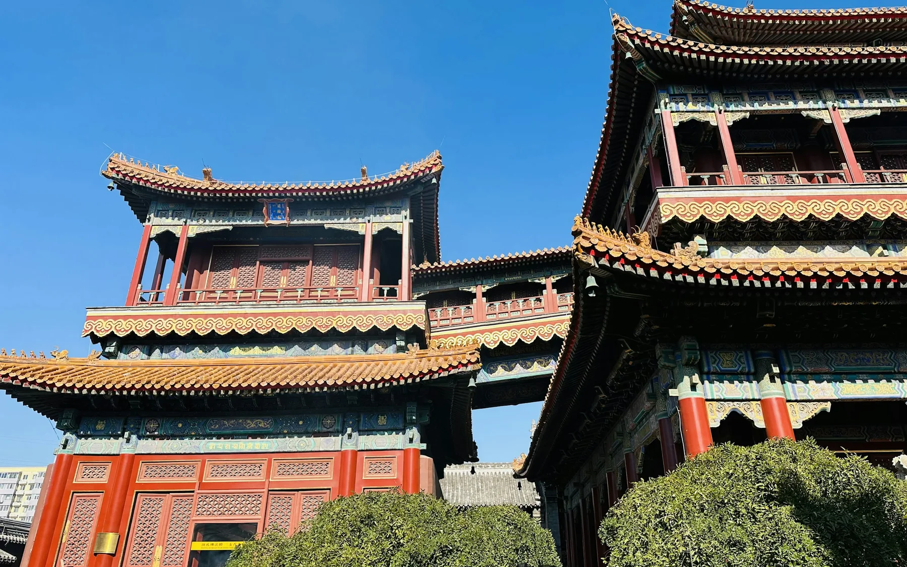 Red halls and layered yellow-glazed roofs inside Beijing's Yonghe Temple set against a deep blue winter sky.
