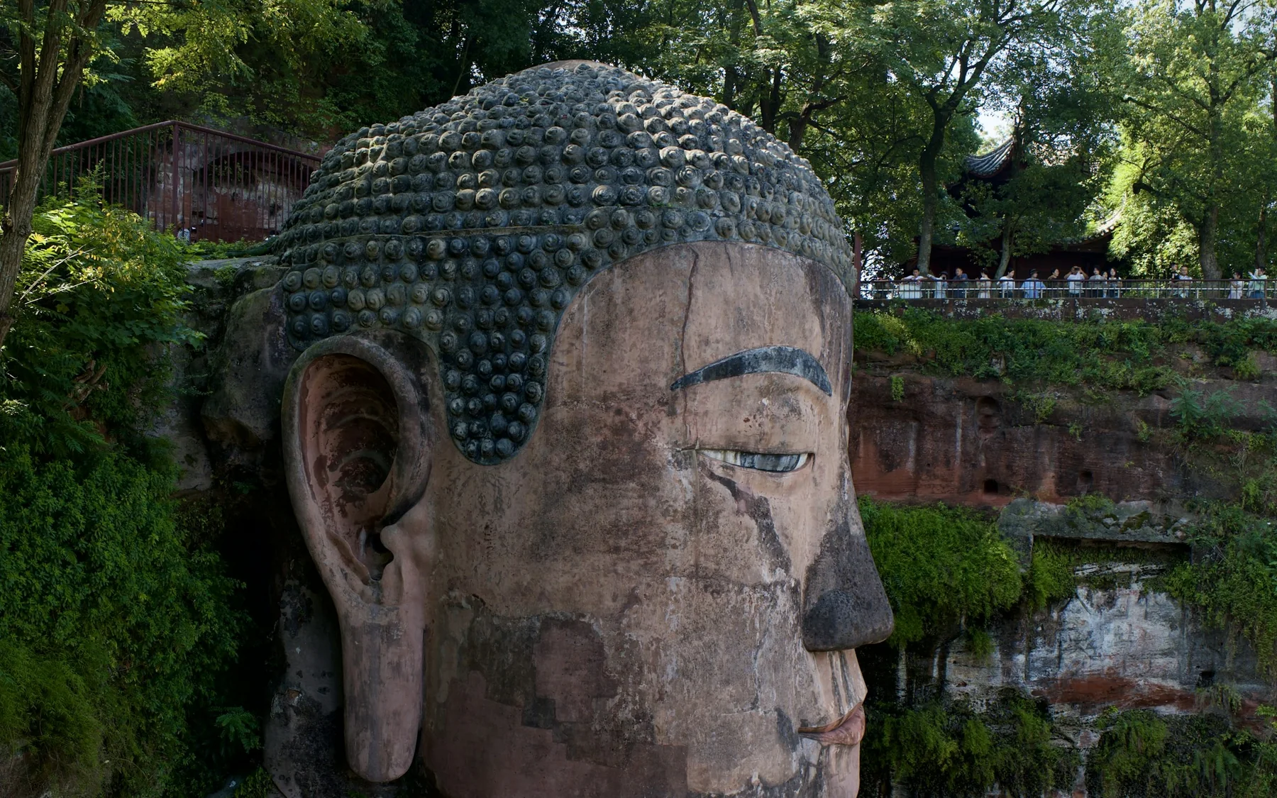 The Leshan Giant Buddha carved into a forested riverside cliff
