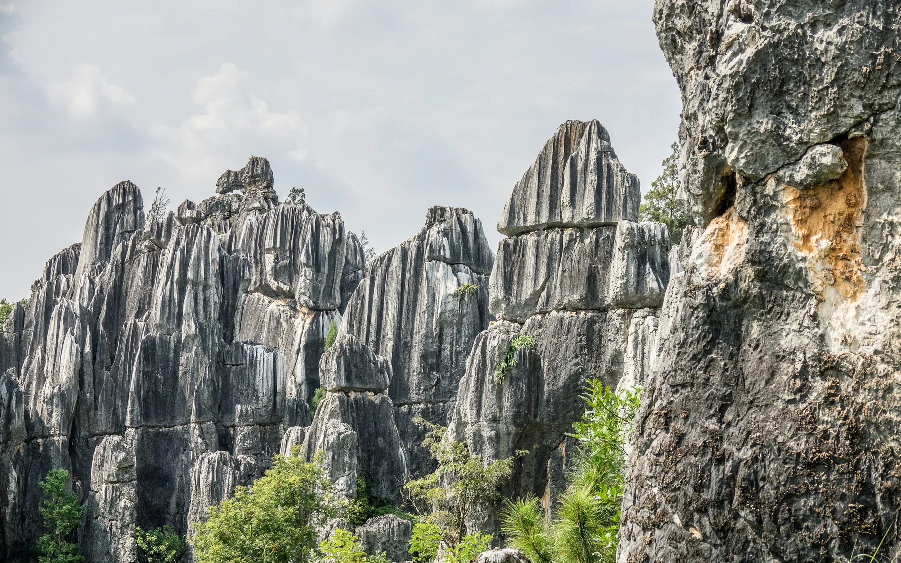 Dense grey limestone pinnacles and fluted karst towers in Yunnan's Stone Forest near Kunming, with green vegetation between the formations.