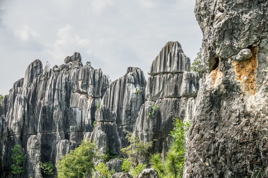 Dense grey limestone pinnacles and fluted karst towers in Yunnan's Stone Forest near Kunming, with green vegetation between the formations.