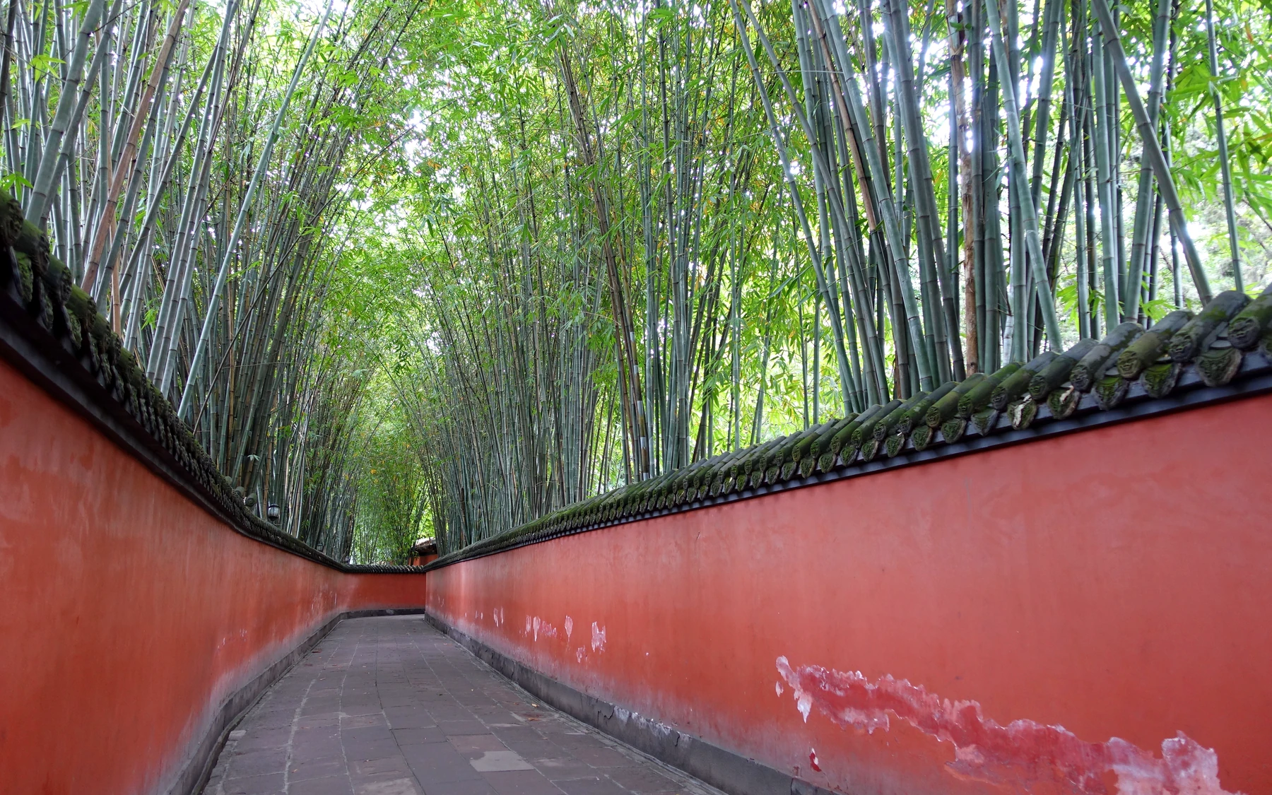 The curving red-wall corridor beneath a bamboo canopy at Wuhou Shrine in Chengdu.
