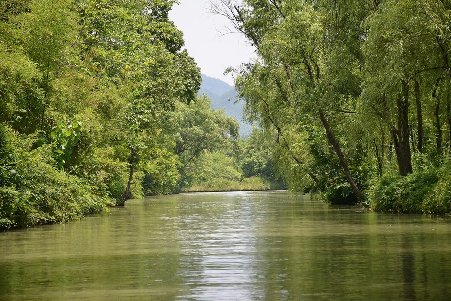 A quiet tree-lined water channel inside Xixi National Wetland Park in Hangzhou.