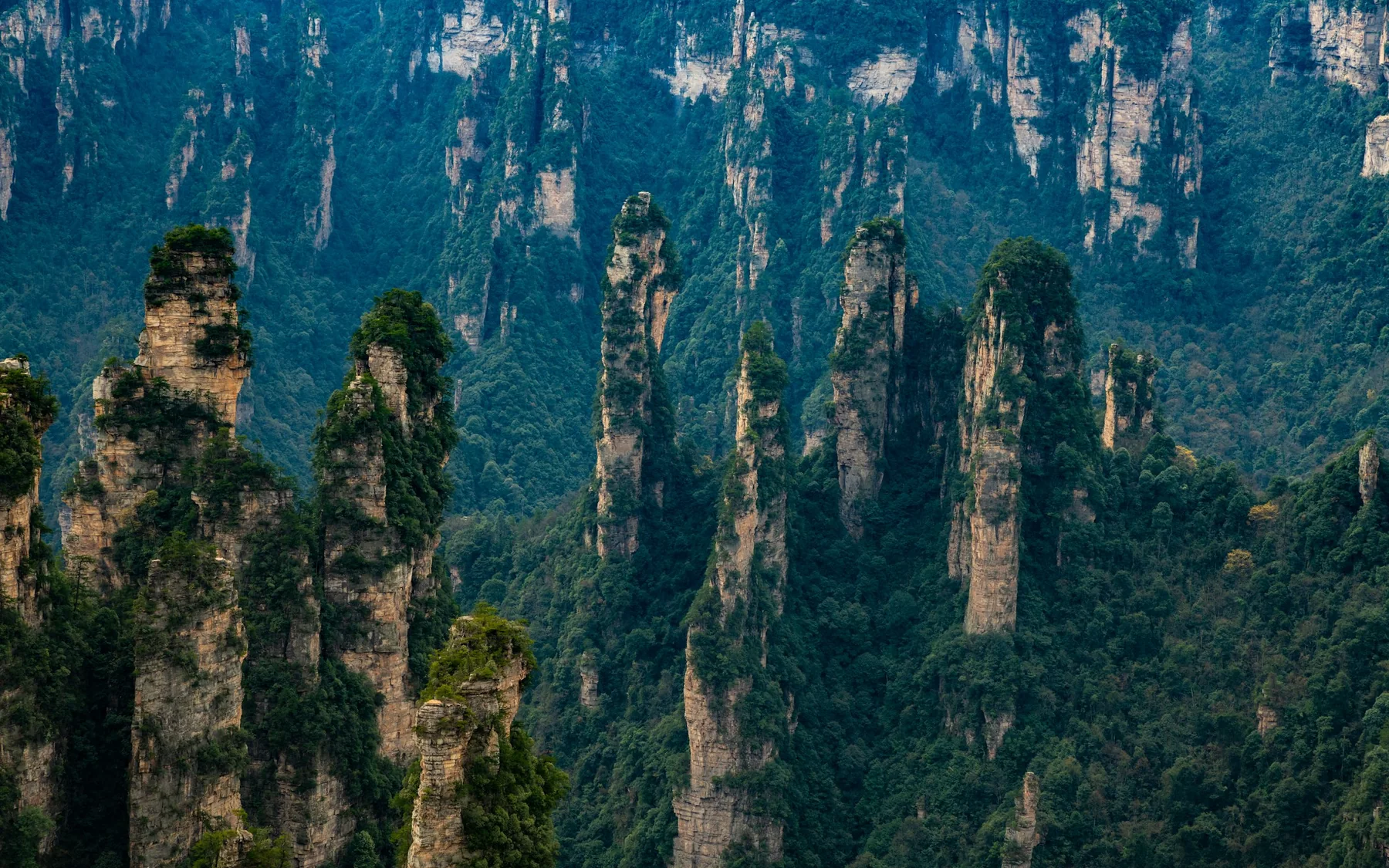 Sandstone pillars at Zhangjiajie National Forest Park